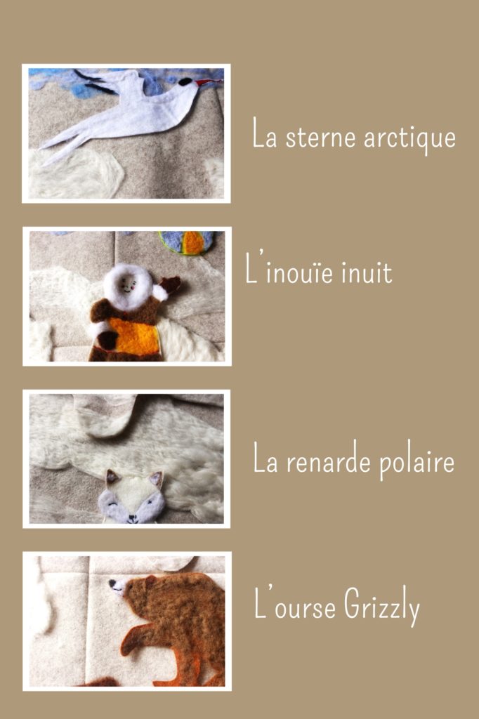 visuel spectacle ourse blanche sur le thème de la nature