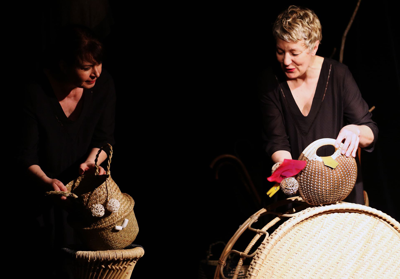 Poule brune sur la lune